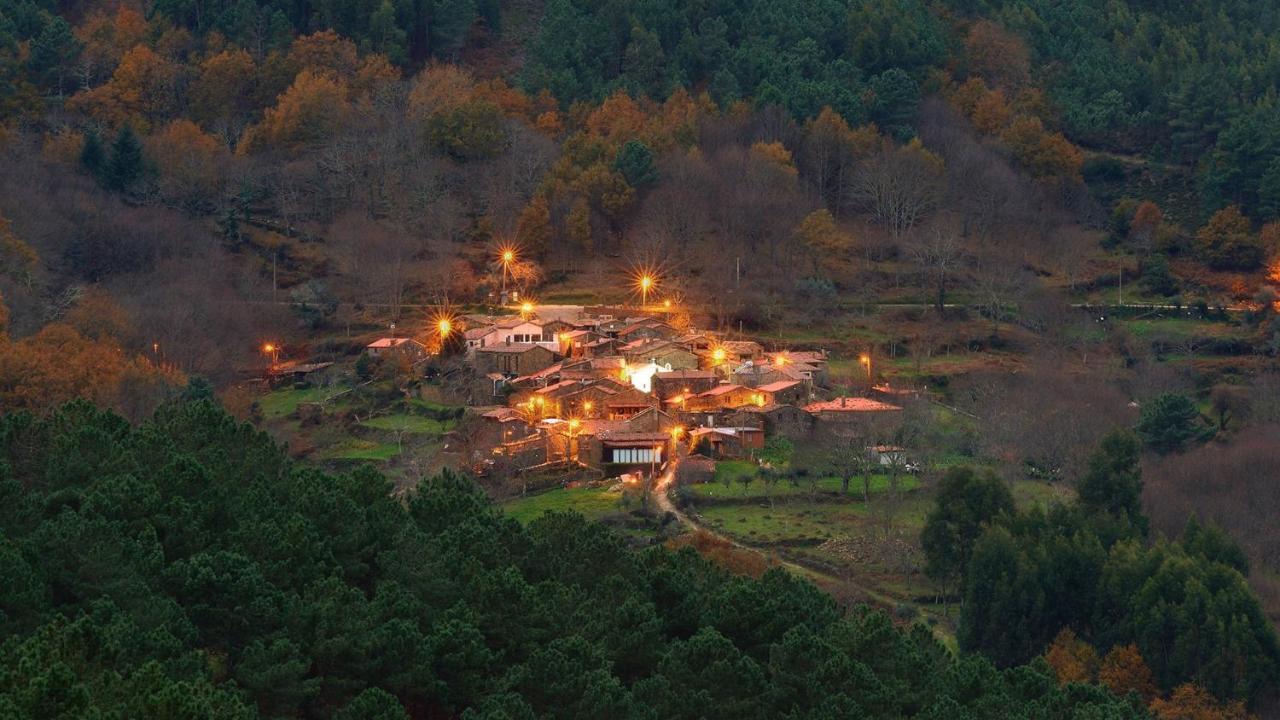 Casa Das Rosas - Roses House Miranda do Corvo Εξωτερικό φωτογραφία