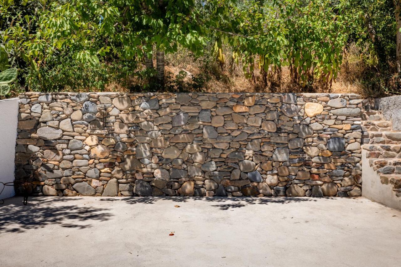 Casa Das Rosas - Roses House Miranda do Corvo Εξωτερικό φωτογραφία